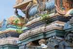 லிங்கபேஸ்வரர் கோவில் கோபுரத்தில் வளர்ந்துள்ள அரசமர செடிகள்