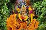 வேப்பிலை அலங்காரத்தில் தண்டு மாரியம்மன் அருள்பாலிப்பு