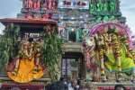 மானாமதுரை ஆனந்தவல்லி சோமநாதர் கோயிலில் ஆடித்தபசு