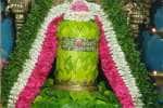 சனிப்பிரதோஷம் : சிவன் கோயில்களில் சிறப்பு வழிபாடு.. பக்தர்கள் பரவசம்
