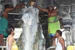 திருவண்ணாமலை அருணாசலேஸ்வரர் கோவிலில் சனி பிரதோஷ பூஜை; பக்தர்கள் தரிசனம்