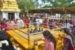 ஆவணி ஞாயிறு: நாகர்கோவில் நாகராஜா கோவிலில் வழிபாட்டிற்கு குவிந்த பக்தர்கள்
