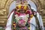 சித்தாலங்குடி குழந்தையானந்த சுவாமி குருபூஜை விழா