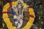 ஆவணி செவ்வாய்; கோவை பாலதண்டாயுதபாணி சுவாமி கோவிலில் சிறப்பு அபிஷேகம்