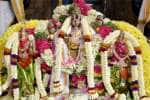 அகோபில வரதராஜ பெருமாள் கோவிலில் பிரம்மோற்சவ திருக்கல்யாணம்