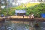 சபரிமலையில் புதிய பஸ்மக்குளம் : கேரள உயர் நீதிமன்றம் இடைக்கால தடை