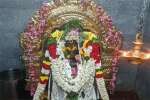 சாலையூர் செல்வ விநாயகர் கோவில் கும்பாபிஷேகம்