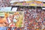 தாயமங்கலம் முத்துமாரியம்மன் கோயில் கும்பாபிஷேகம்; பல்லாயிரக்கணக்கான பக்தர்கள் தரிசனம்