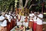 செல்வ விநாயகர் கோவிலில் அரசு –- வேம்பு திருக்கல்யாணம்