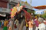 திருச்செந்தூர் முருகன் கோவிலில் ஆவணித்திருவிழா; கொடி பட்டத்துடன் வீதி உலா வந்த யானை