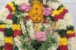 மேட்டுப்பாளையம் பட்டத்தரசி அம்மன் கோவிலில் கும்பாபிஷேகம்