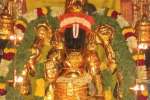 சீனிவாசப் பெருமாள் கோயிலில் கிருஷ்ண ஜெயந்தி விழா கோலாகலம்