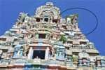 புகழ்பெற்ற திருவரங்குளம் கோவில் கோபுரம் சேதம்; பக்தர்கள் அதிர்ச்சி