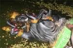ஆட்டம், பாட்டத்துடன் ஊர்வலம்; நீர்நிலைகளில் விநாயகர் சிலைகள் கரைப்பு 