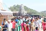 திருத்தணி கோவிலில் குவிந்த பக்தர்கள் 3 மணி நேரம் காத்திருந்து தரிசனம்