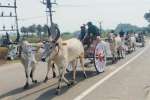 மாட்டு வண்டியில் பழநி கோயிலுக்கு வந்த பக்தர்கள்