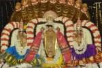 திருவந்திபுரம் தேவநாதசுவாமி தங்க சேஷ வாகனத்தில் வீதியுலா
