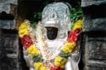 சுருட்டப்பள்ளி பள்ளிகொண்டீஸ்வர கோவில் தட்சணாமூர்திக்கு சிறப்பு பூஜை