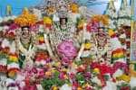 ஸ்ரீவள்ளி திருக்கல்யாண மஹோத்ஸவம்