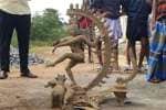 வீடு கட்ட அஸ்திவாரம் தோண்டிய போது ஐம்பொன் சிலைகள் கண்டெடுப்பு