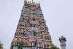temple news