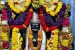 temple news