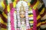 செல்வ முத்துமாரியம்மன் கோவில் திருவிழா; பூக்குழி இறங்கி நேர்த்திக்கடன்
