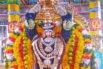 தபசு திருக்கோலத்தில் அருள்பாலித்த பரமக்குடி விசாலாட்சி அம்மன் 