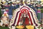 உடுமலை பிளேக் மாரியம்மன் கோவிலில் திருக்கல்யாணம்