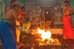 temple news