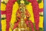 Temple Latest News