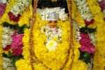 Temple Latest News