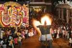 Temple Latest News