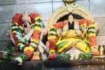 சோழவந்தான், குருவித்துறை கோயில்களில் குருப்பெயர்ச்சி விழா