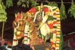 Temple Latest News
