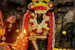 உலக நன்மை வேண்டி அகத்தீஸ்வரர் கோயிலில் குரு பகவானுக்கு மகா யாகம்