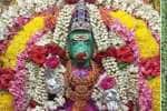 temple news