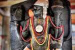 temple news