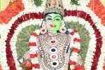 திருப்பூர் குங்கும மாரியம்மன் கோவிலில் பொங்கல் விழா