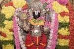 temple news