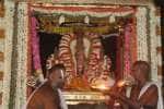temple news