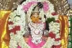 போத்தனூர் பேச்சியம்மன் கோவில் திருவிழா; சக்தி கரகம் எடுத்து பக்தர்கள் வழிபாடு