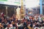 temple news