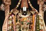 கொடிசியா திருப்பதி வெங்கடாஜலபதி கோவிலில் மூலவருக்கு சிறப்பு அபிஷேகம்