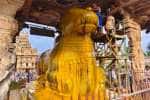 temple news