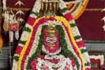 விழுப்புரம் பஞ்சமாதேவி பசுபதிஸ்வரர் கோவிலில் சனி பிரதோஷம்