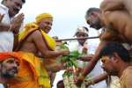 பெருமாள் கோவில்பட்டி காளியம்மன், கன்னிமூல கணபதி கோயில் கும்பாபிஷேகம்