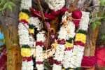 உலகம் நலம் பெற வேண்டி அரச மரம், வேப்ப மரத்துக்கு திருமணம்