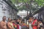 மாரியூர் பூவேந்தியநாதர் கோயிலில் முன்னை மரத்திற்கு பூஜை