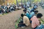 Temple Latest News
